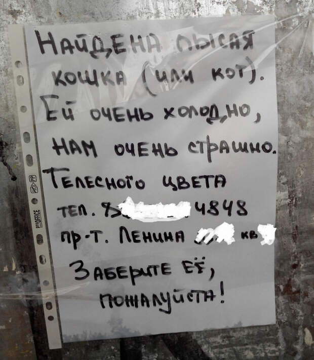 Незабываемые объявления и надписи