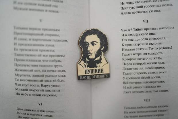 «Нас не отменить» - акция в поддержку русской культуры