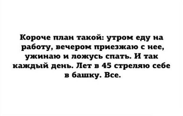 Смешные картинки с подписями картинки, прикол, юмор