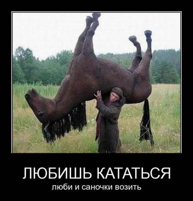 Демотиваторы " 101 %" 15/04/12