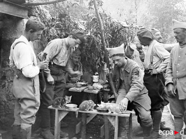 52. Солдаты базы Мулен Руж, кормящие своих котят. Борьё, 1914 год 52. Солдаты базы Мулен Руж, кормящие своих котят. Борьё, 1914 год война, животные, питомцы, солдаты