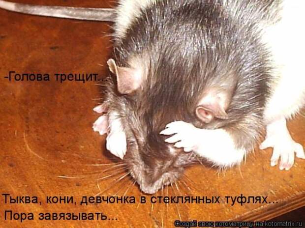 Мысли вслух :)