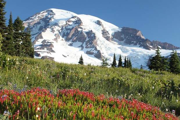 mount-rainier-national-park-02