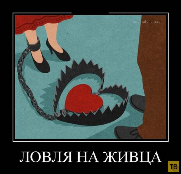 Подборка демотиваторов 15. 12. 2014 (32 фото)