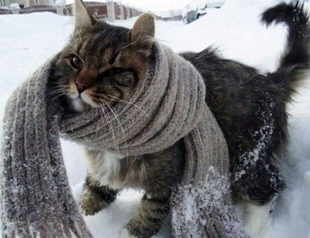 Позитивные фотографии