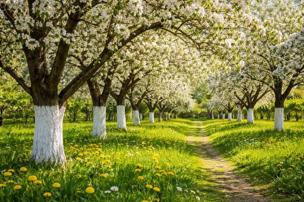 Белить нельзя оставить