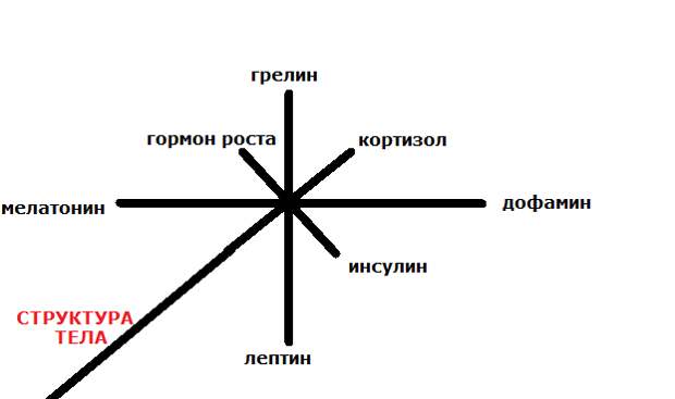 Разрубите гордиев узел проблем сном: от дофамина до лептина Разрубите гордиев узел проблем сном: от дофамина до лептина
