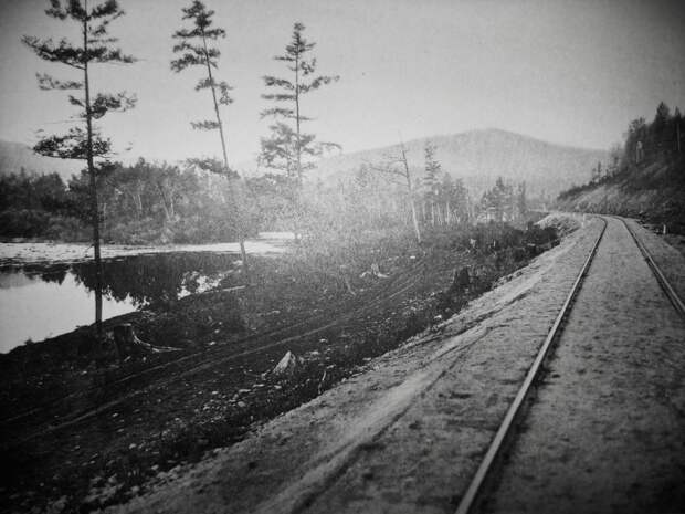 11. 180 верста. 11. 180 верста.