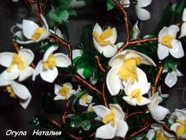 b2ap3_thumbnail_DSCF3759-13.jpg b2ap3_thumbnail_DSCF3759-13.jpg