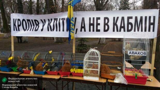 Националисты захватили центр Киева и поставили виселицы Националисты захватили центр Киева и поставили виселицы