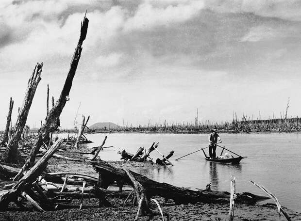 Редкие фотографии войны во Вьетнаме, сделанные партизанами Вьетконга