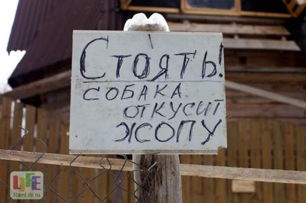 Картинки, юмор, приколы