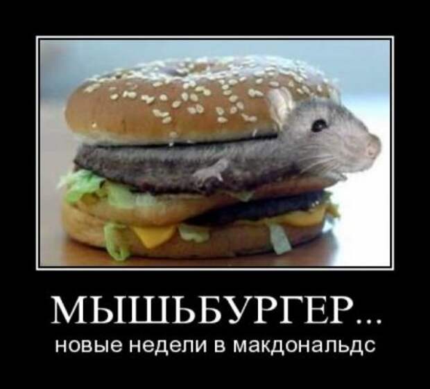 Ржачные демотиваторы на выходные