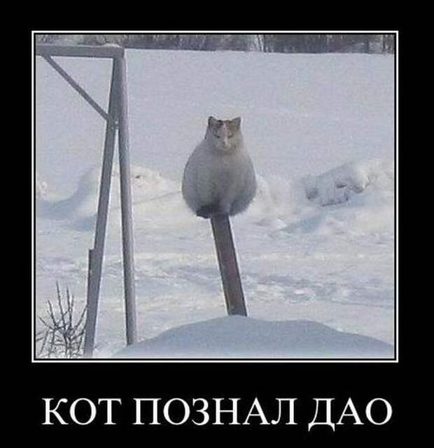Позитивные и смешные демотиваторы со смыслом (10 фото)