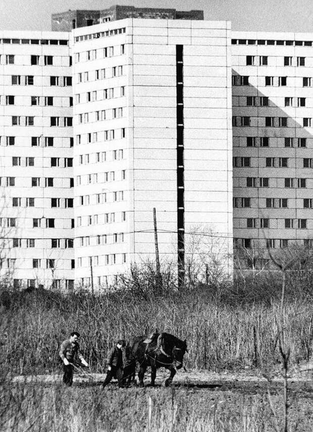 Москва