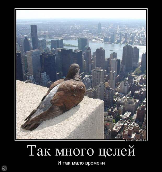 Бабье лето прошло! 45