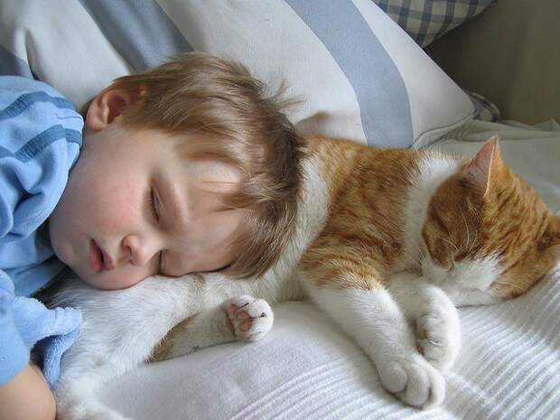 39 очаровательных доказательств, что вашему ребенку нужен кот дружба, кот, ребенок