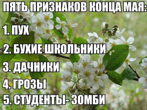 Смешные картинки с подписями Смешные картинки с подписями картинки, юмор