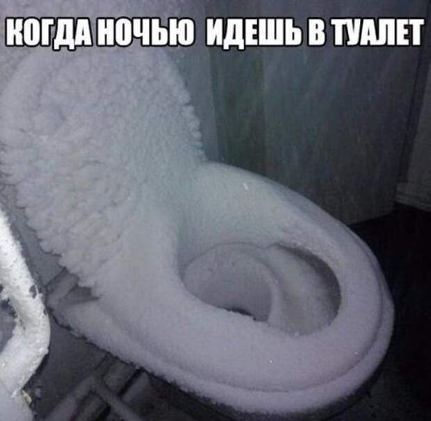 Прикольные картинки с подписями (23 шт)