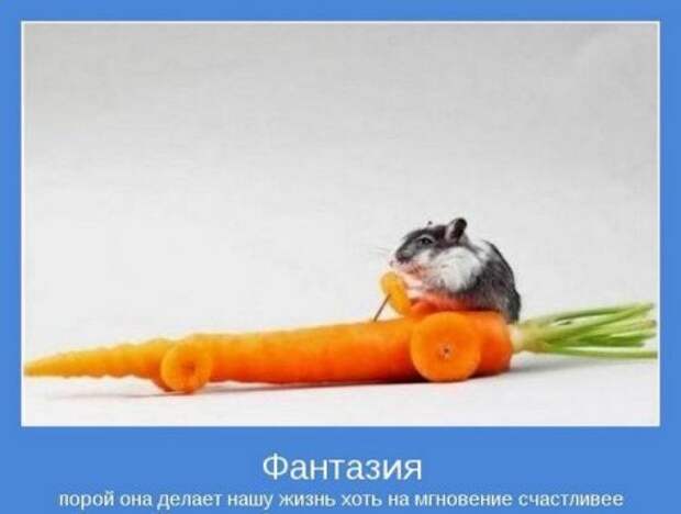 Картинки серьезные темы мотиваторы.