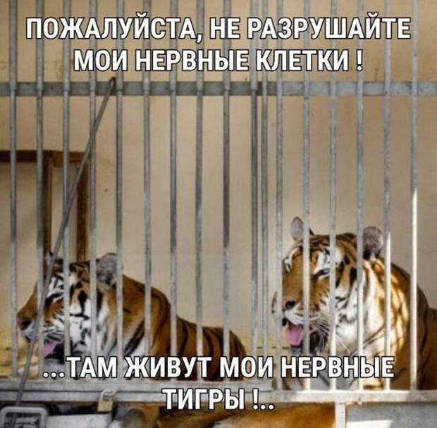 Угарные свежие мемы (понедельник)
