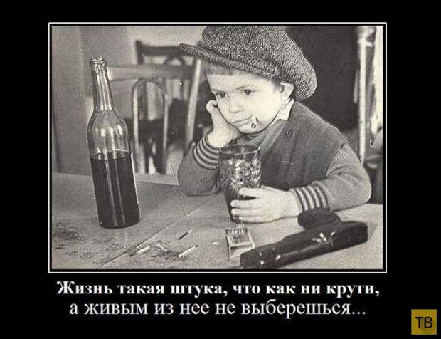 Подборка демотиваторов 12. 09. 2014 (33 фото)