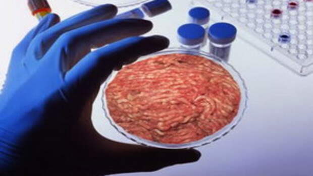 meat-adp