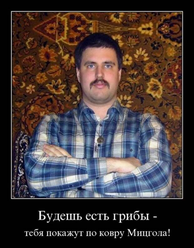 Демотиваторы для поднятия настроения!