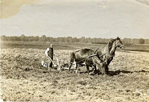 Пахарь в поле. 1907 год.