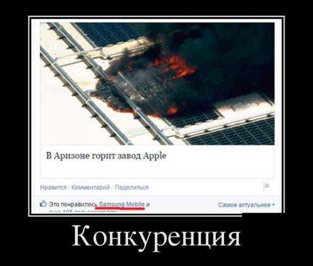 Демотиваторы (30 фото)