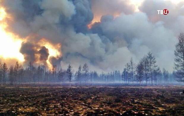 Число погибших из-за лесных пожаров в Греции превысило 20 человек