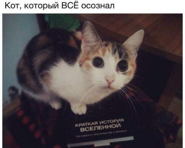 Прикольные фотомемы на Бугаге (33 шт)