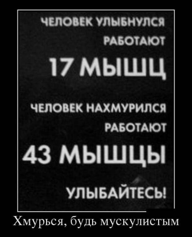 Демотиваторы (30 фото)