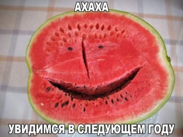 Прикольные картинки (95 фото)
