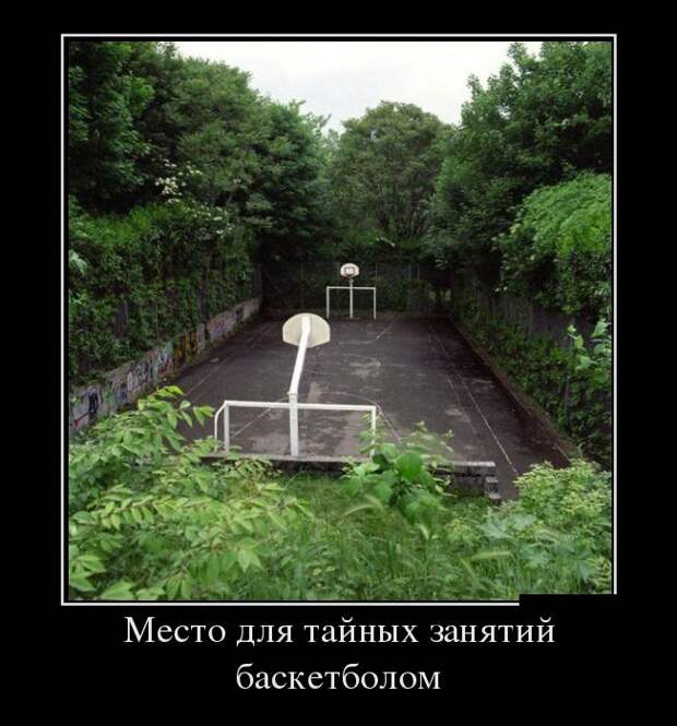 Демотиваторы Демотиваторы демотиваторы, юмор