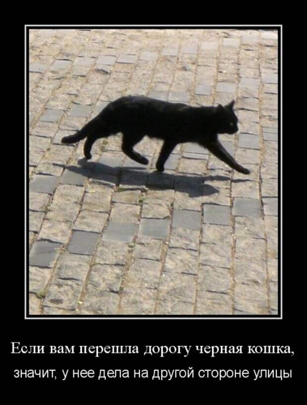 Демотиваторы (30 фото)