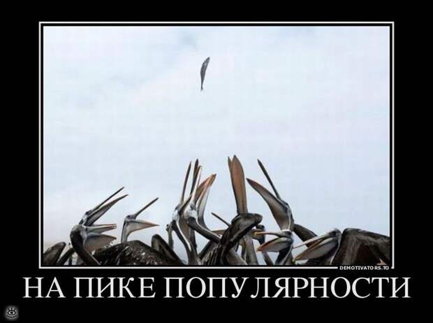 Покой нам только снится! 12