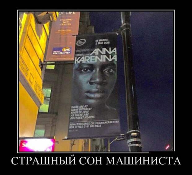 Подборка  демотиваторов демотиваторы, юмор