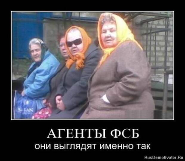 Демотиваторы фото приколы картинки с надписями.