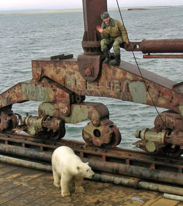 Армейские прикольные фотографии Армейские прикольные фотографии