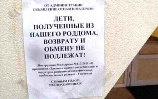 Прикольные картинки