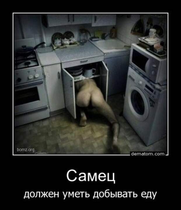 Демы смешные и самые прикольные на сегодня.