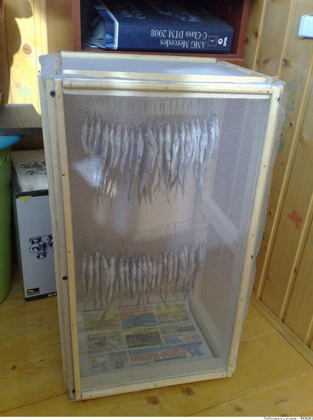 Как сделать сушилку для рыбы. Ящик для сушки рыбы. Ящик для вяления рыбы. Ящик для сушки рыбы с вентилятором. Сушилка для вяления рыбы.
