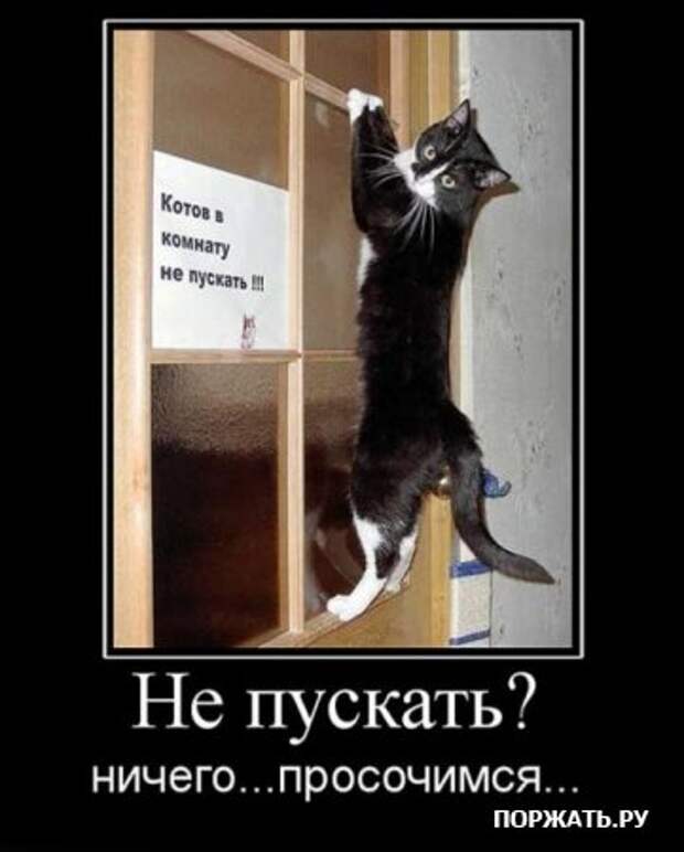 Коллекция демотиваторов