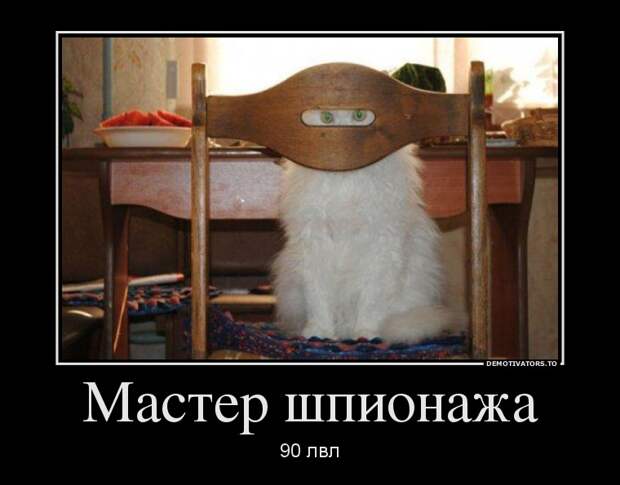 Демотиваторы 