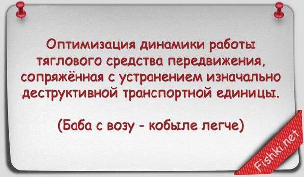 Русские пословицы и поговорки научным языком наука, поговорки, пословицы