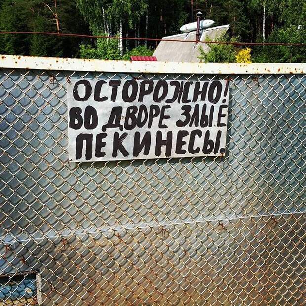 Таблички, правдивость которых не хочется проверять Таблички, правдивость которых не хочется проверять животные, прикол