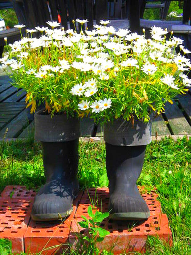 Необычное в привычном!