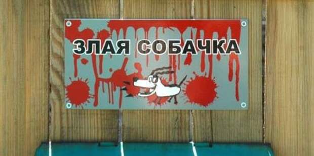 забавные вывески и предупреждения на заборах