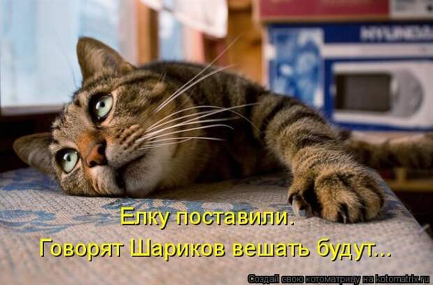 Мысли вслух - Ожидание Нового года